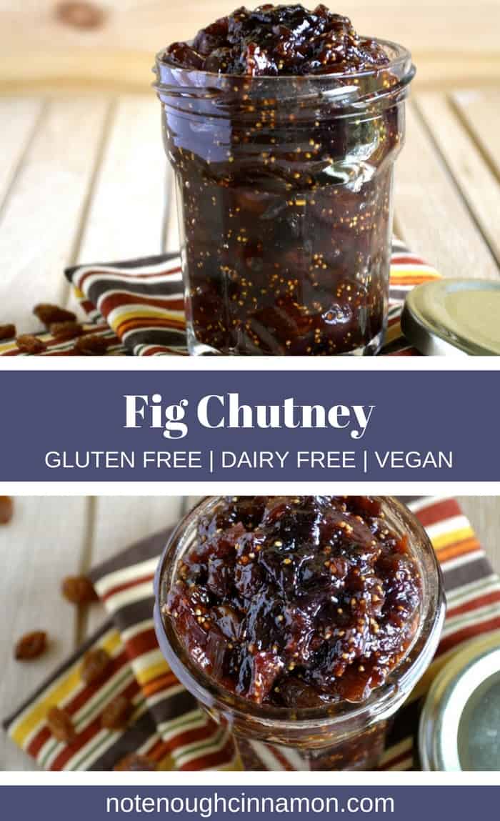 Fig Chutney (with fresh or frozen figs) - Not Enough Cinnamon